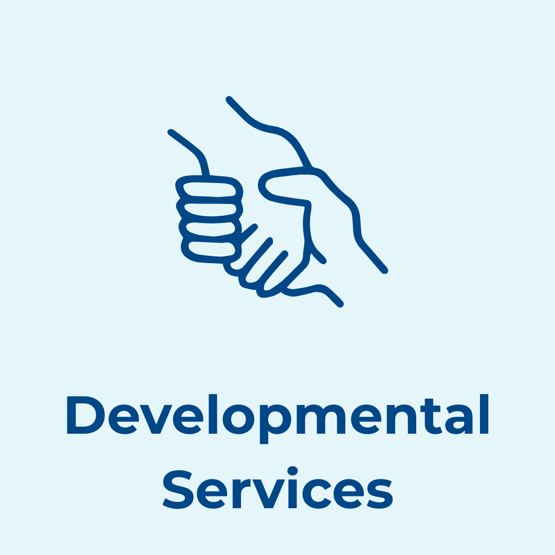 2 Developmental services